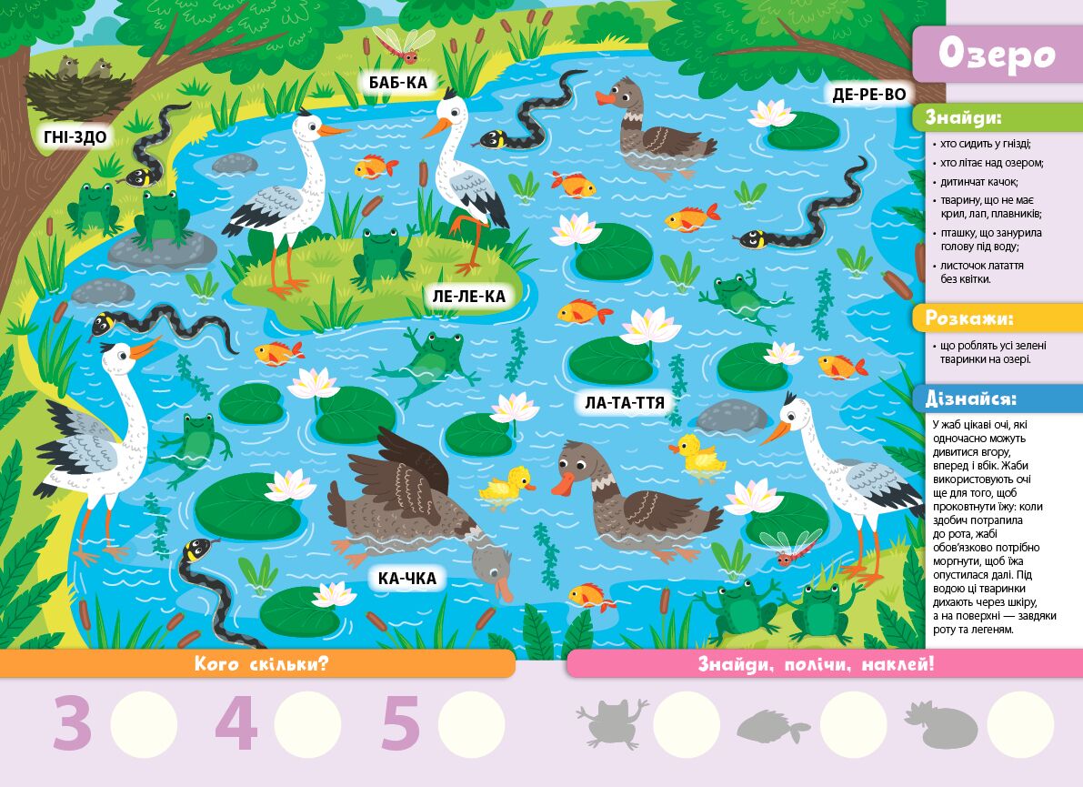 Знайди! Прочитай! Полічи! — Лісова родина 4+ УЛА. - фото 2