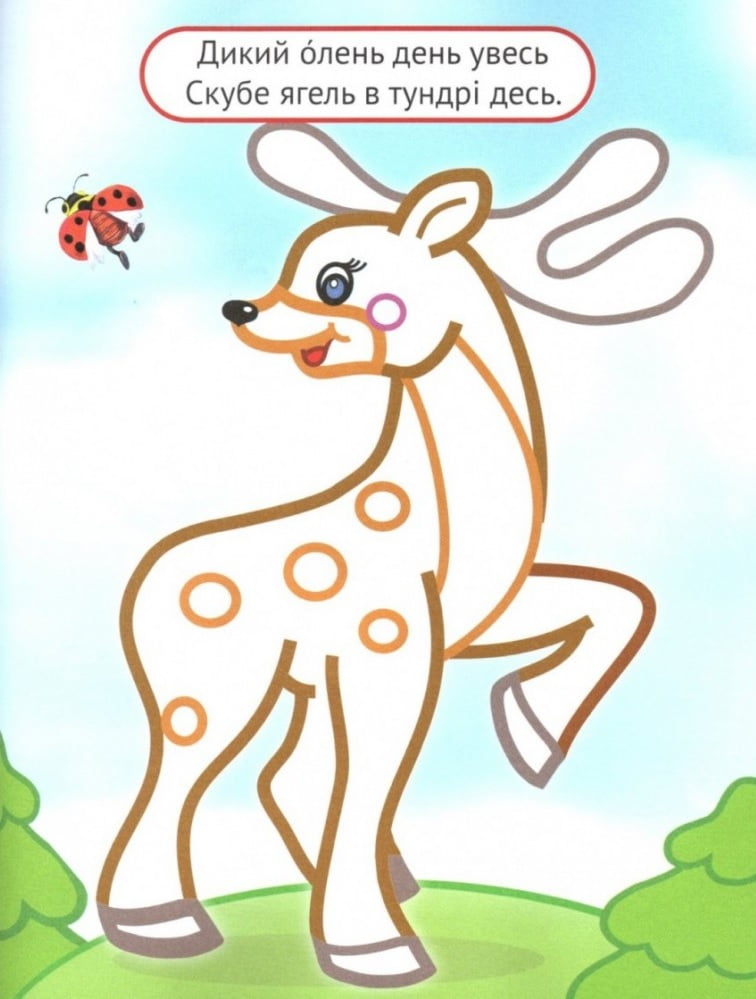 Упізнай і розфарбуй. Лисиця та єнот - фото 4