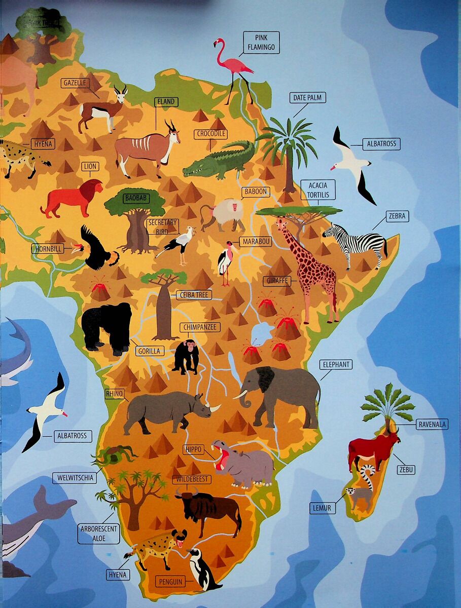 Тварини і рослини світу. Animals and plants of the world. Тиха В.В. Талант. - фото 2