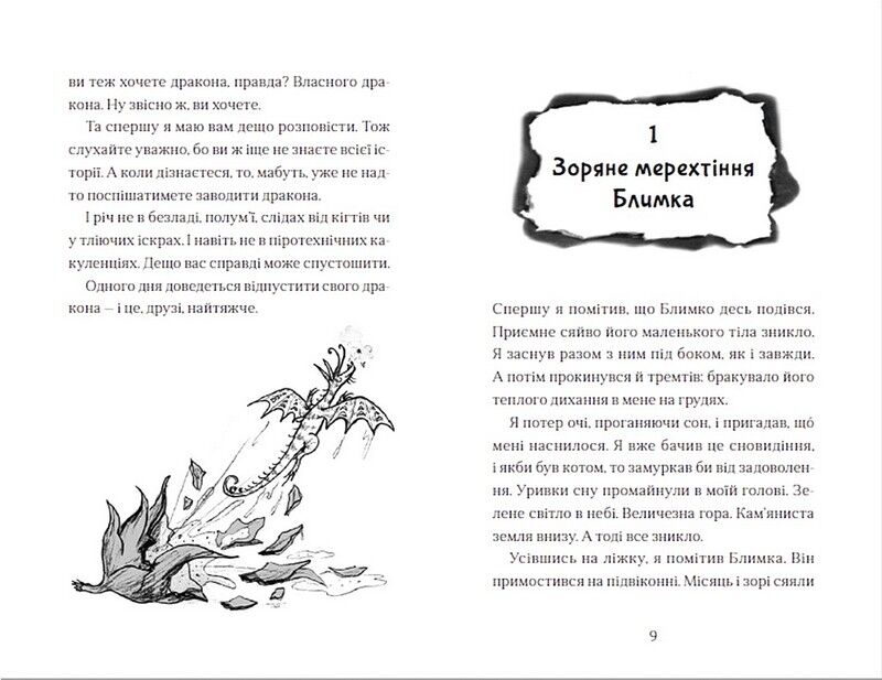 Хлопчик, який літав з драконами - фото 3