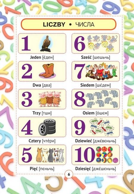 Польсько-український візуальний словник для початкової школи - фото 6