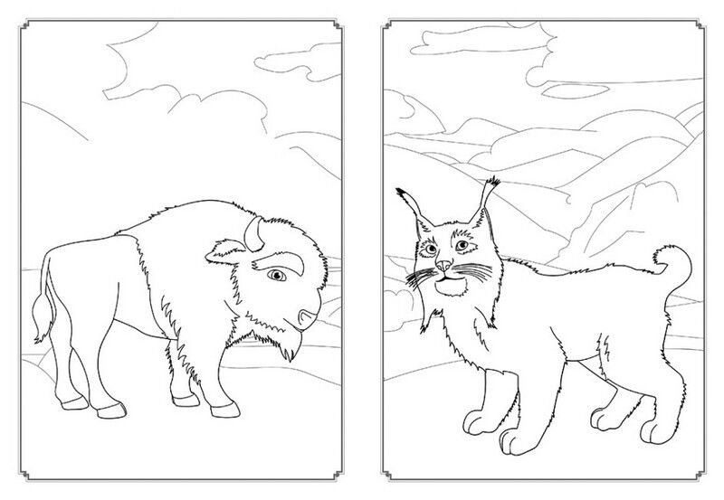 Мавка. Магія кольору. Всесвіт Мавки - фото 2