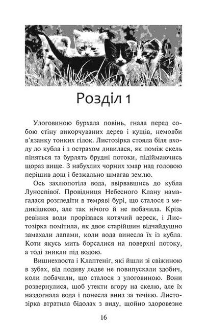 Коти-вояки. Доля Небесного Клану. Спеціальне видання - фото 2