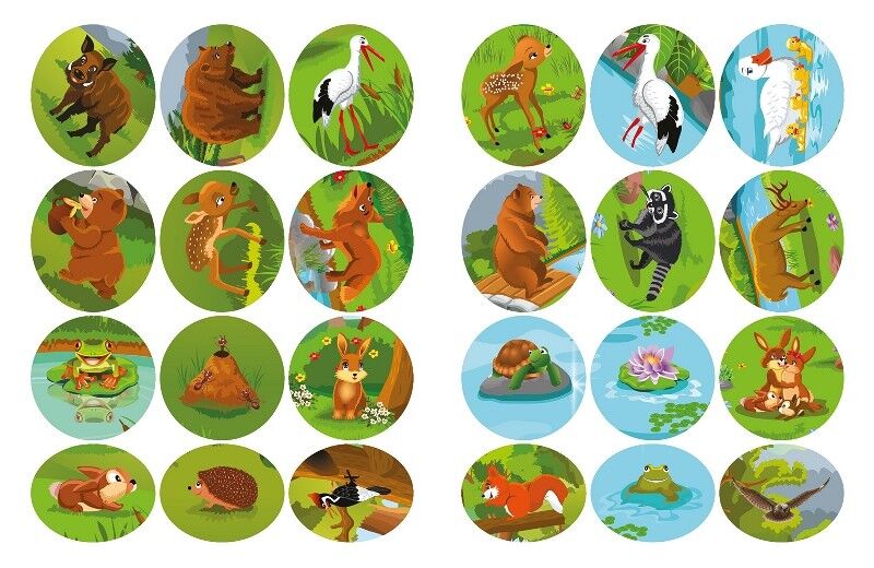 Наклей і дізнайся. Літо в лісі - фото 4