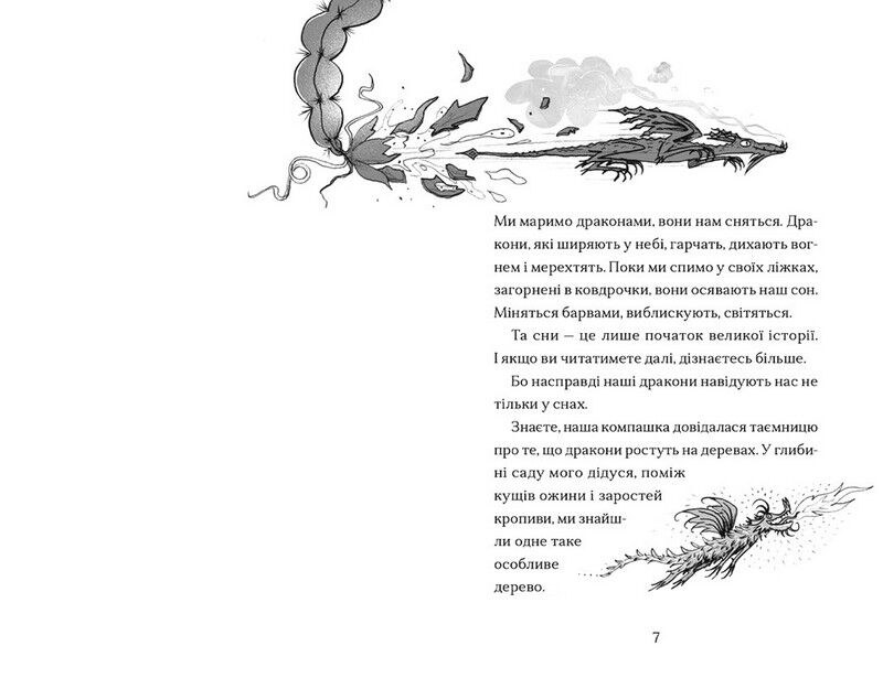 Хлопчик, який марив драконами - фото 2