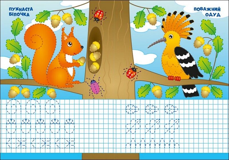 Пиши-стирай. Лісові прописи - фото 2