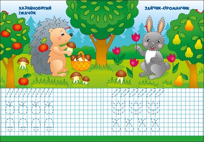 Пиши-стирай. Лісові прописи - фото 4