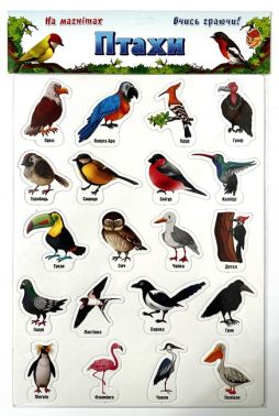 Ігри на магнітах. Птахи Ігри на магнітах. Птахи