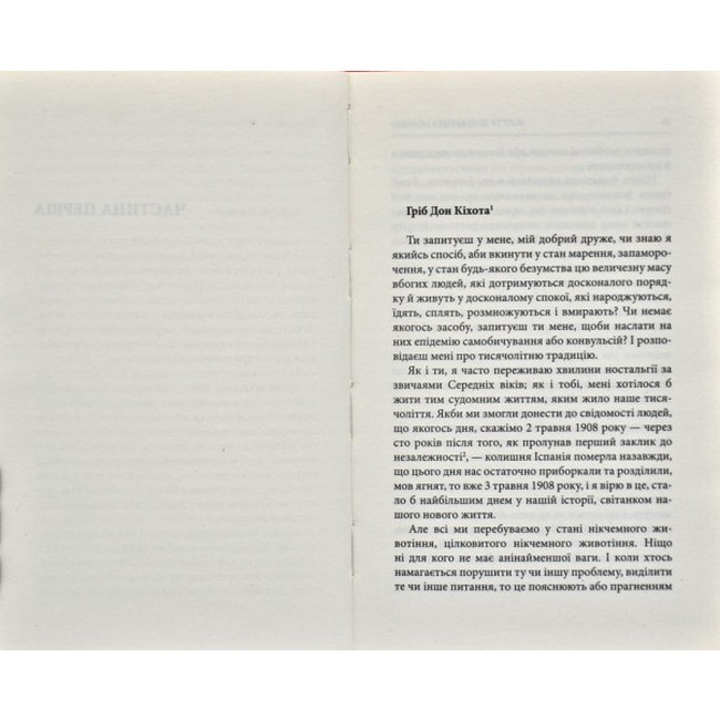 Життя Дон Кіхота і Санчо - фото 2