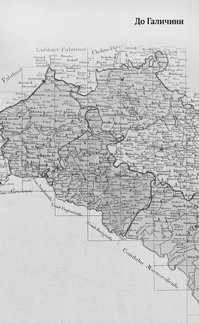 До Галичини. Про хасидів, гуцулів, поляків і русинів - фото 4