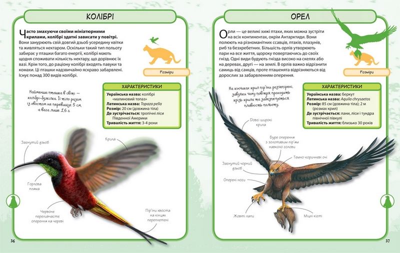 Дикі тварини. Міні-енциклопедія - фото 4