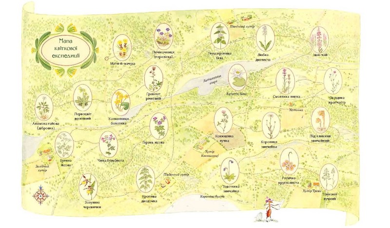 Експедиція з мурахою Софі - фото 3