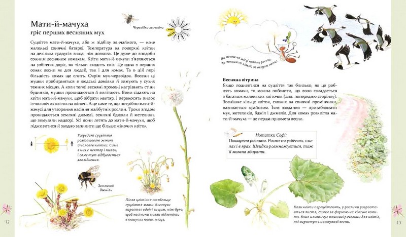 Експедиція з мурахою Софі - фото 4