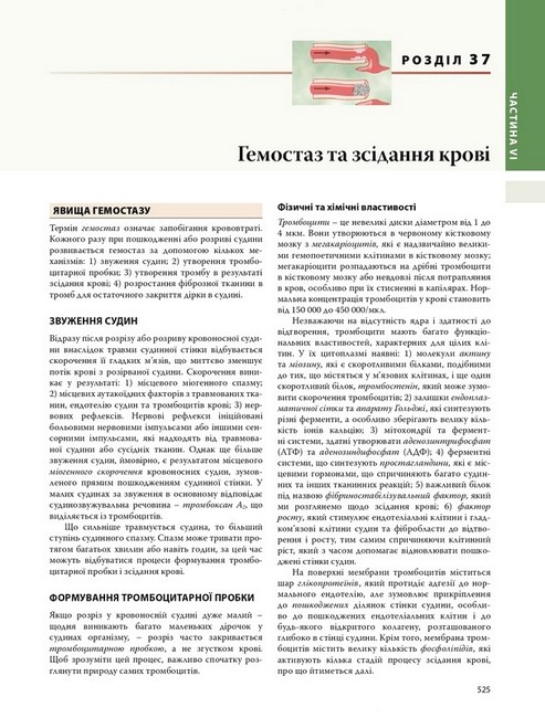 Медична фізіологія за Ґайтоном і Голлом. У 2 томах. Том 1. 14-е видання - фото 2