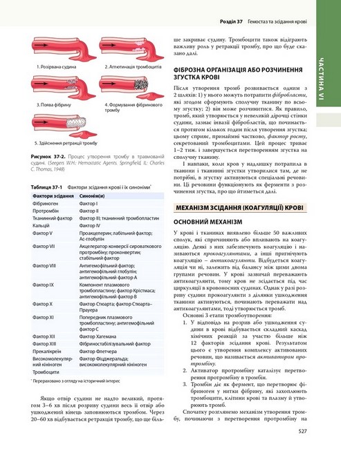 Медична фізіологія за Ґайтоном і Голлом. У 2 томах. Том 1. 14-е видання - фото 4