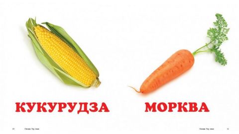 Овочі - фото 3