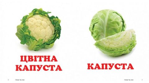 Овочі - фото 4