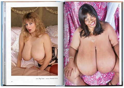 The Little Big Book of Breasts - фото 8