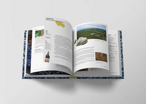 Нерозказана історія українського виноробства - фото 4