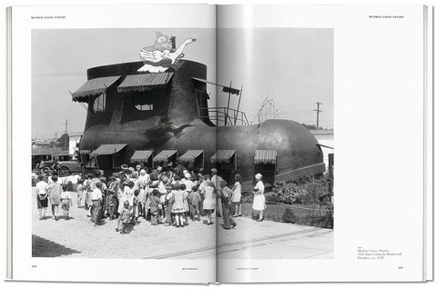 California Crazy. American Pop Architecture - фото 7