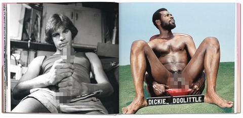 The Big Penis Book - фото 2