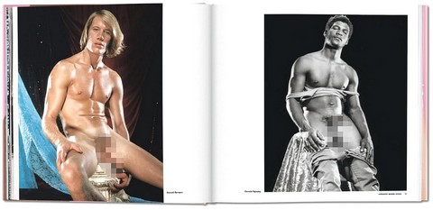 The Big Penis Book - фото 5