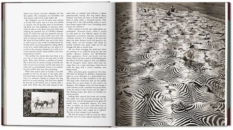 Peter Beard. The End of the Game (PHOTO) - фото 3