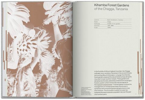 Julia Watson. Lo-TEK. Design by Radical Indigenism - фото 6