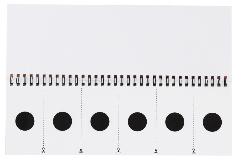 Роздавальний матеріал Складаємо звукову схему. Слова. Перекидні букви Ранок - фото 2