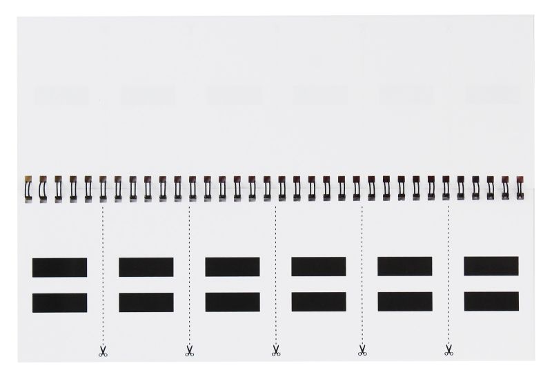 Роздавальний матеріал Складаємо звукову схему. Слова. Перекидні букви Ранок - фото 3