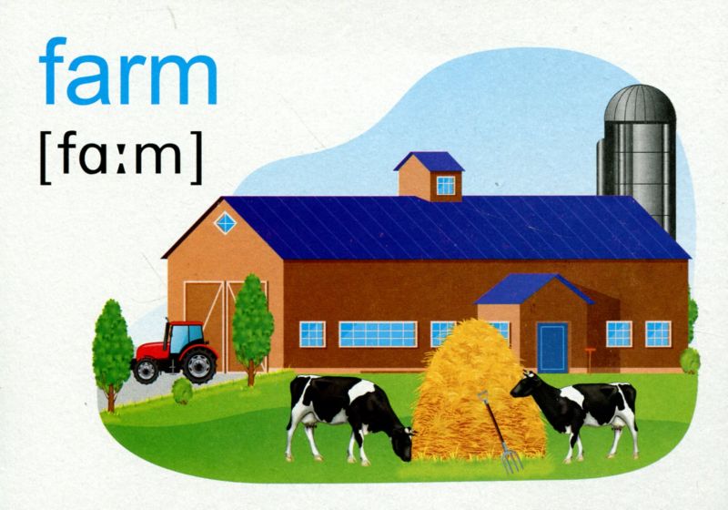 English flashcards The world we live in / Світ в якому ми живемо Комплект флеш-карток з англійської мови НУШ Вознюк Л. Підручники і посібники - фото 5