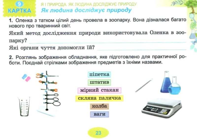 Діагностичні тест-картки Я досліджую світ 3 клас НУШ Авт: Гільберг Т. Тарнавська С. Вид-во:Генеза - фото 6