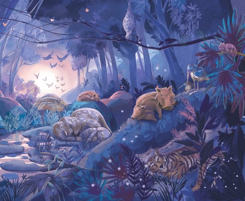 Панґолін шукає любов - фото 9