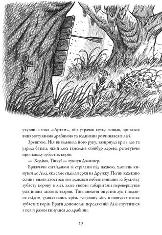 Сага про Літокрилів. Книга 2. Шлях на північ - фото 4