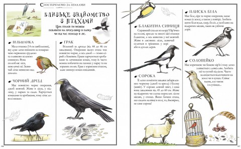 Boys’ Book. Підручник відважного мандрівника - фото 3