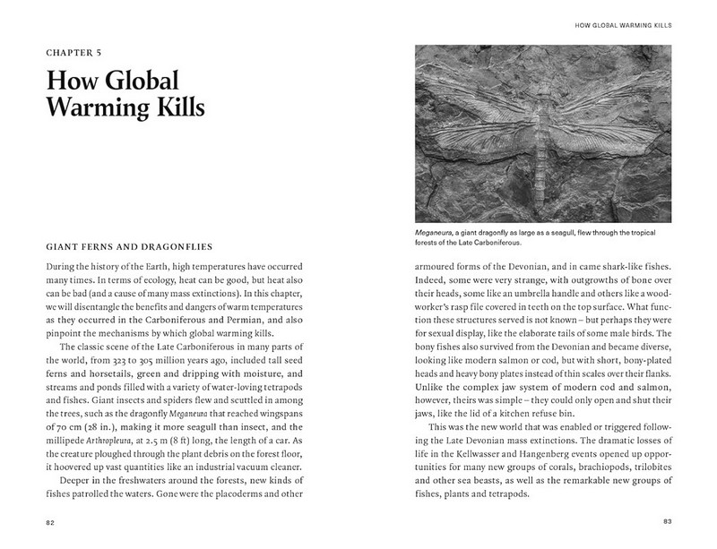 Extinctions. How Life Survives, Adapts and Evolves - фото 8