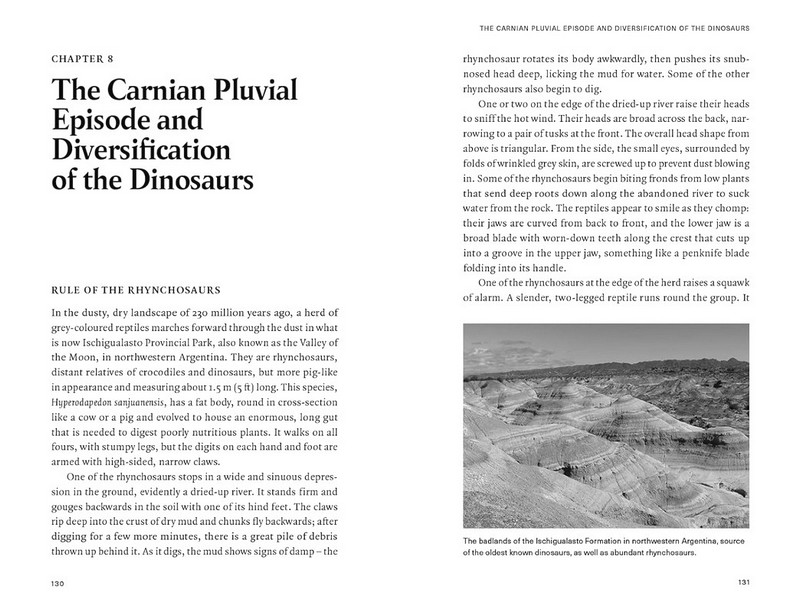 Extinctions. How Life Survives, Adapts and Evolves - фото 12