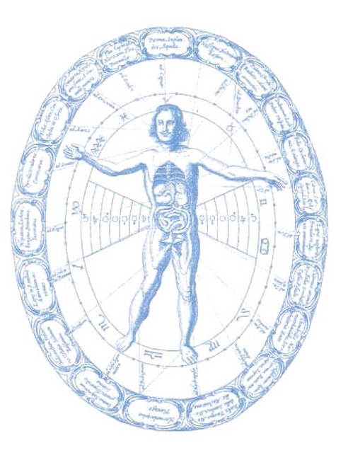 Human Body. Mini Encyclopedia - фото 2