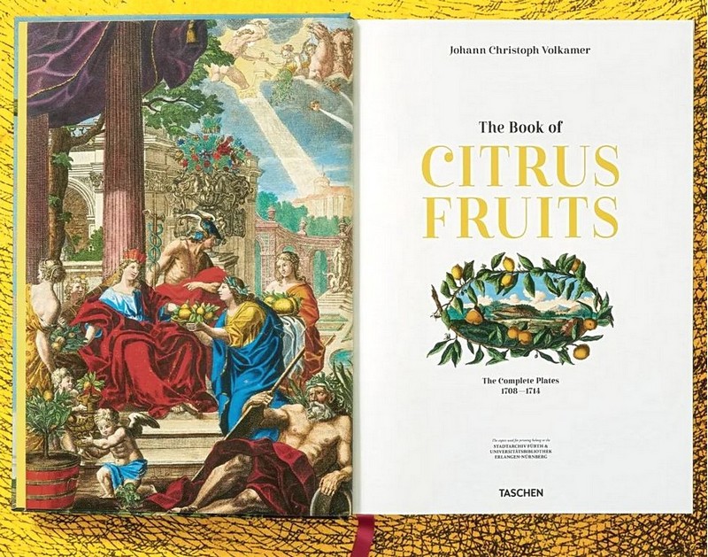J. C. Volkamer. The Book of Citrus Fruits - фото 2
