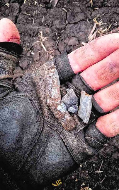 Три медалі в шухляді - фото 5