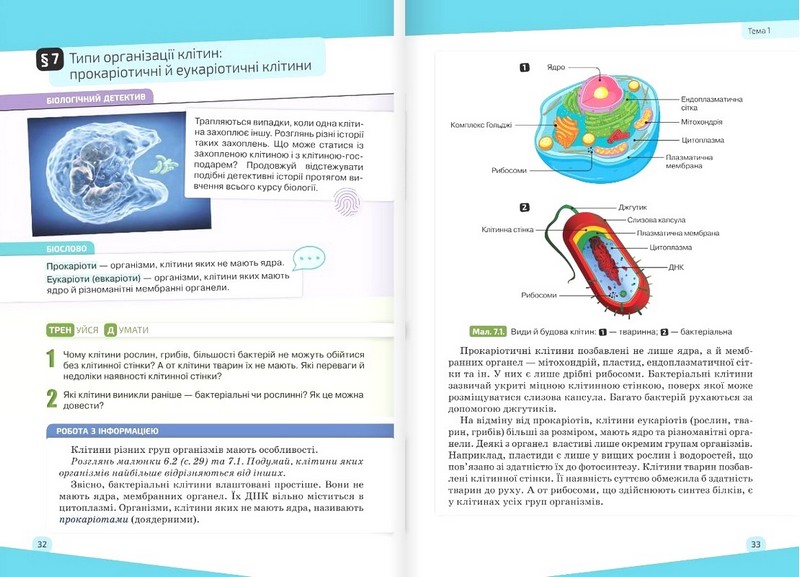 Підручник Біологія 7 клас НУШ Авт: К. Задорожний Г. Ягенська О. Павленко В. Додь Вид-во: Освіта - фото 11