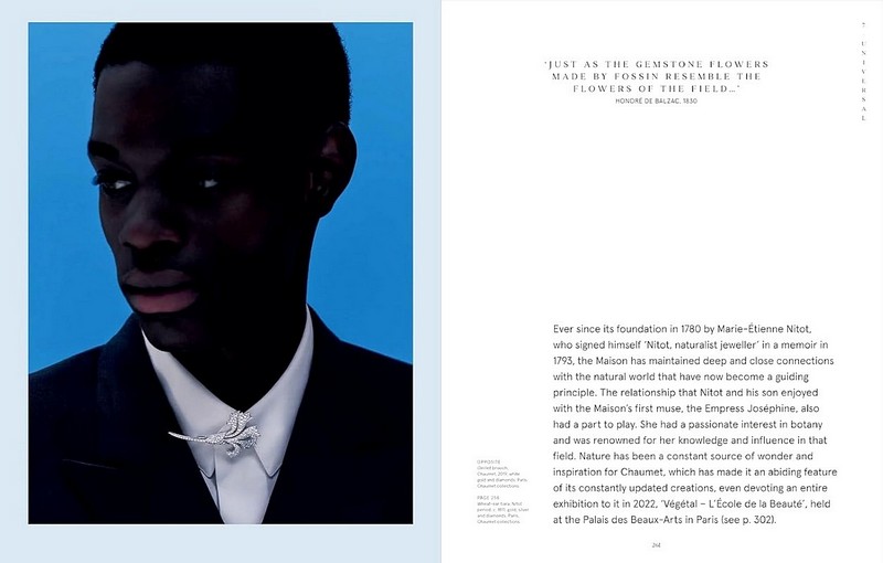 The Spirit of Chaumet - фото 9