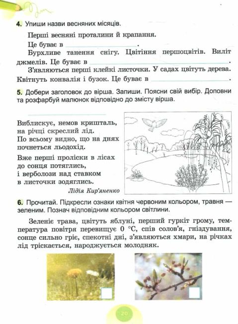 Робочий зошит Я досліджую світ 2 клас Частина 2 НУШ Авт: Гільберг Т. Тарнавська С. Павич Н. Вид-во: Генеза - фото 6