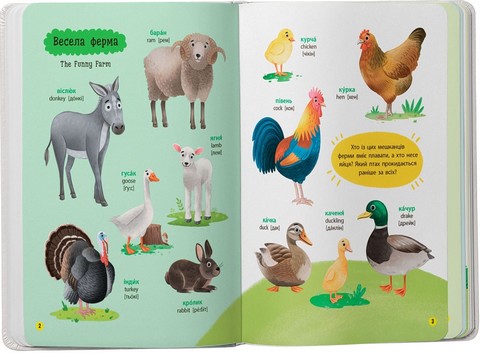 150 перших слів Тварини Авт: Катерина Столяренко Вид-во: Crystal Book - фото 2