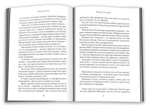 Зоряний пил Авт: Ніл Ґейман Вид-во: КМ-БУКС - фото 4