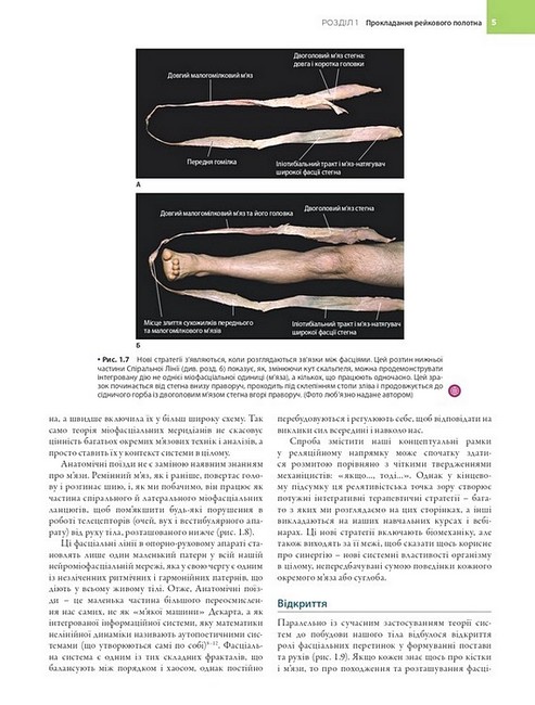 Анатомічні поїзди Міофасціальні меридіани для мануальних терапевтів і фахівців із відновлення руху 4-е видання Авт: Томас В. Маєрс Вид-во: Медицина - фото 6