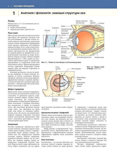 Офтальмологія Текст і кольорові ілюстрації 4-е видання Авт: Марк Баттербері Конор Мерфі Вид-во: Медицина - фото 2