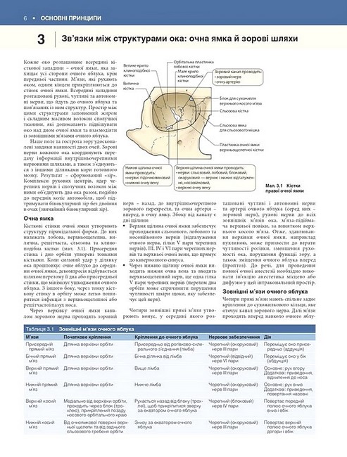 Офтальмологія Текст і кольорові ілюстрації 4-е видання Авт: Марк Баттербері Конор Мерфі Вид-во: Медицина - фото 6