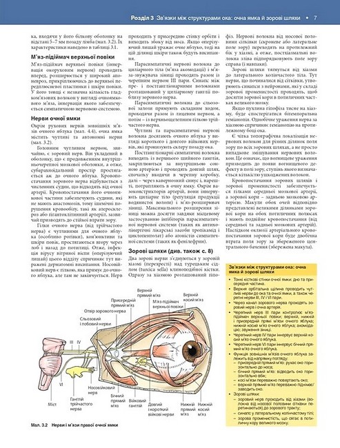 Офтальмологія Текст і кольорові ілюстрації 4-е видання Авт: Марк Баттербері Конор Мерфі Вид-во: Медицина - фото 7