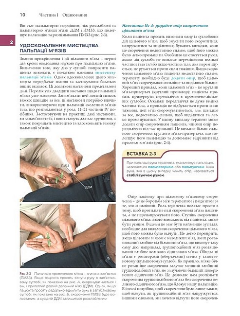 Посібник Пальпація м’язів і кісток з тригерними точками, патернами відображеного болю та технікою розтягування 3-є видання Авт: Джозеф Е. Масколіно Вид-во: Медицина - фото 6